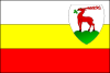 Flaga Jelenia Góra