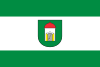 Flaga Szczawno-Zdrój