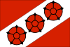 Flaga Brzeg Dolny