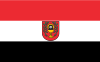 Flaga Łasin