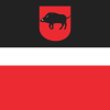 Flaga Łęczna