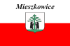 Flaga Mieszkowice