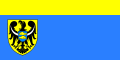 Flaga powiatu milicki