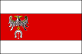 Flaga powiatu brzeziński
