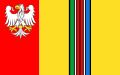 Flaga powiatu łowicki