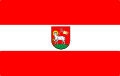 Flaga powiatu wieluński