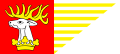 Flaga powiatu lubelski
