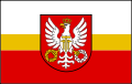 Flaga powiatu wielicki