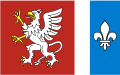 Flaga powiatu dębicki