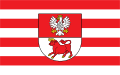 Flaga powiatu bielski